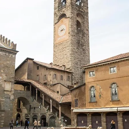 Gombito 4 Alta *